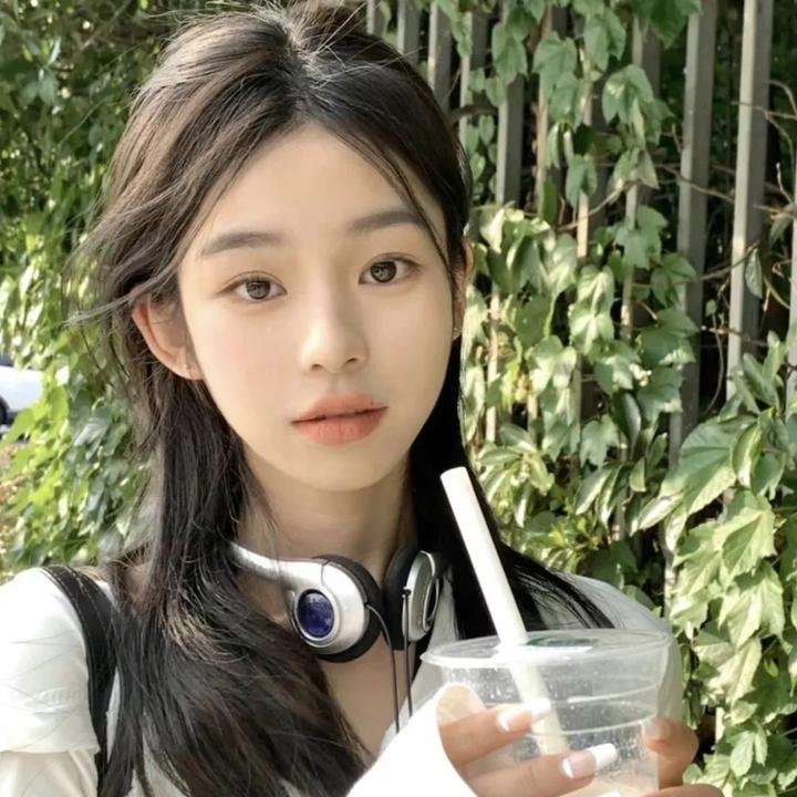 好莱坞以北